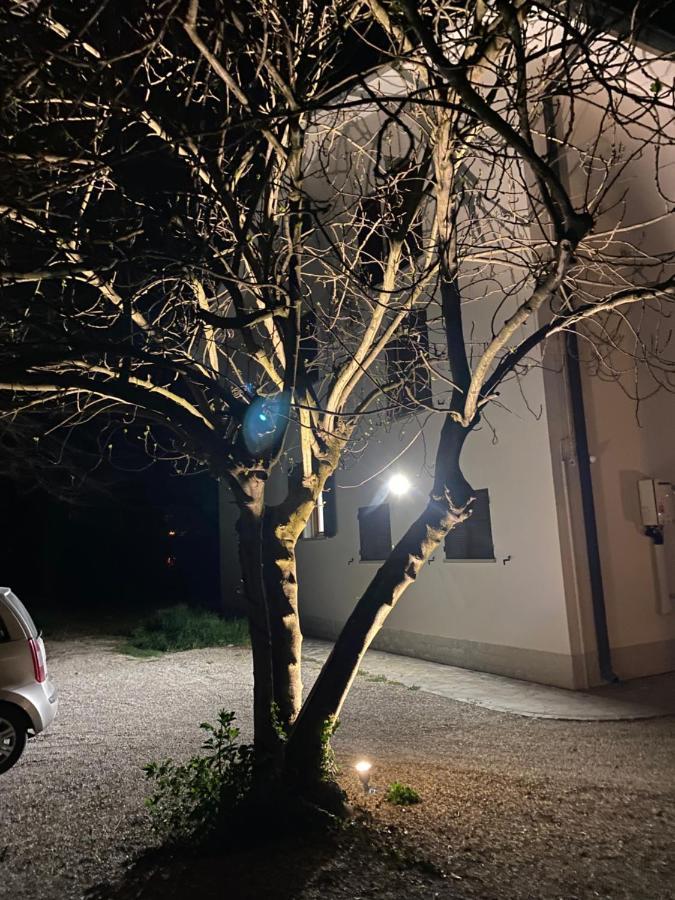 Casa Bellodi Novi di Modena 外观 照片