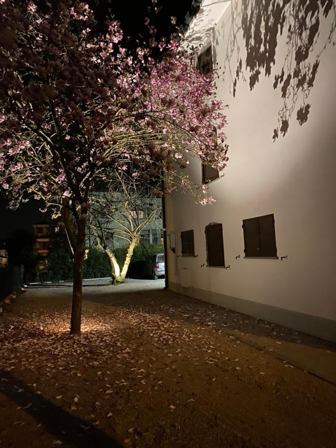 Casa Bellodi Novi di Modena 外观 照片